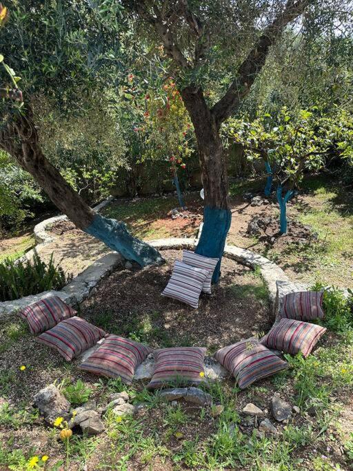 Mount Minis - Casa Bruno Villa Sivota  Exterior photo